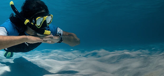 SeaWatch - gearfordive.com