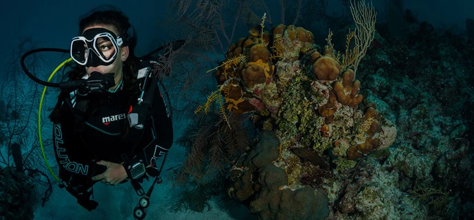 SeaWatch - gearfordive.com