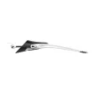 Mares Avanti Pure X