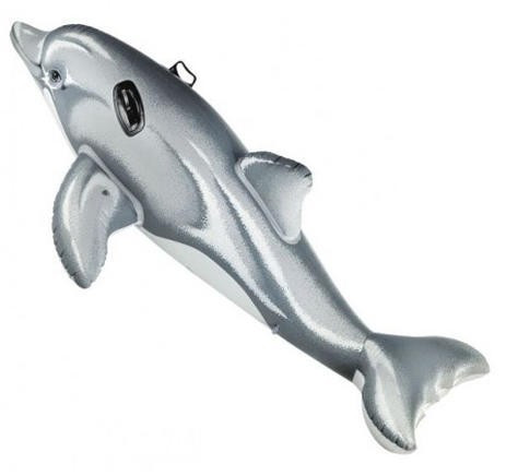 Intex Dolphin