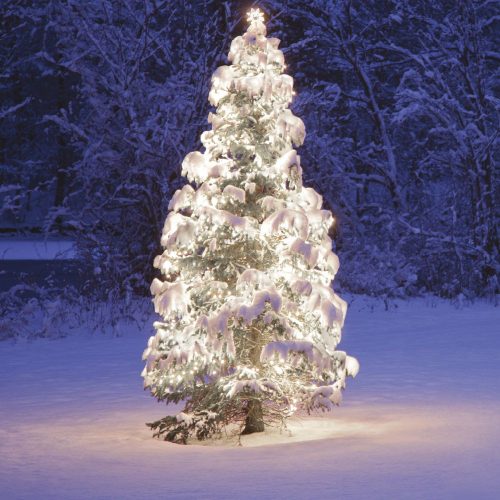 Outdoor extendable light string, Cold white, 50 LEDs, 5 meters