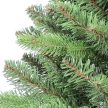 Douglas Mini pine 90 cm