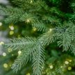 Nightlight Artificial pine