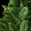 Garland Evergreen 270 cm