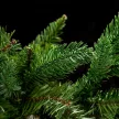 Garland Evergreen 270 cm