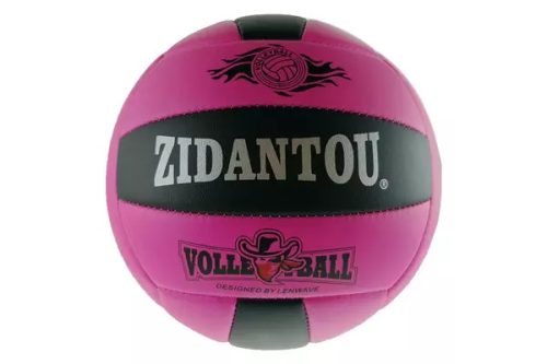 Zidantou Volleyball
