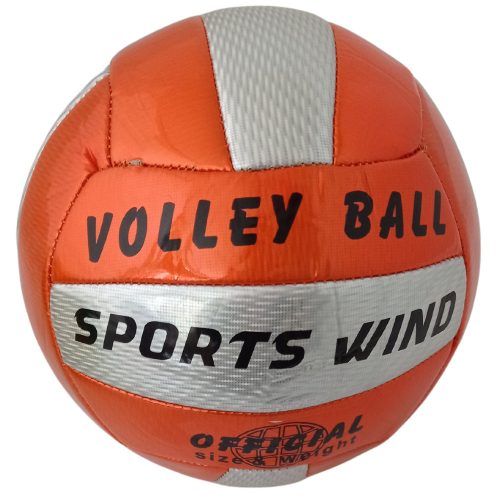 Sports Wind Metal volleyball