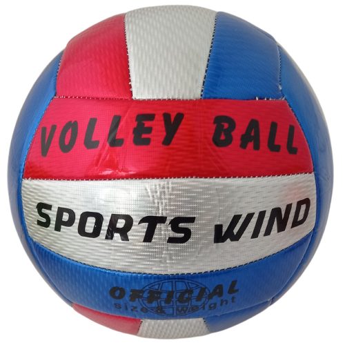 Sports Wind Metal volleyball