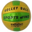 Sports Wind Metal volleyball