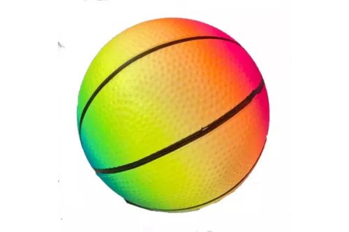 Top Haus Mini Rainbow Basketball