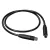 Coltri HP hose