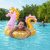 BESTWAY Shiny Seahorse Float 115 cm x 104 cm
