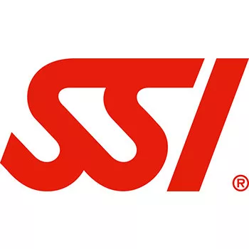 SSI